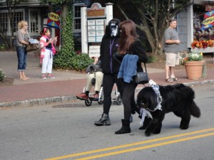 Dog Parade 