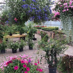 Chester Merchant Association